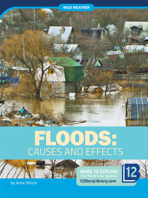 cover image of Floods: Causes and Effects